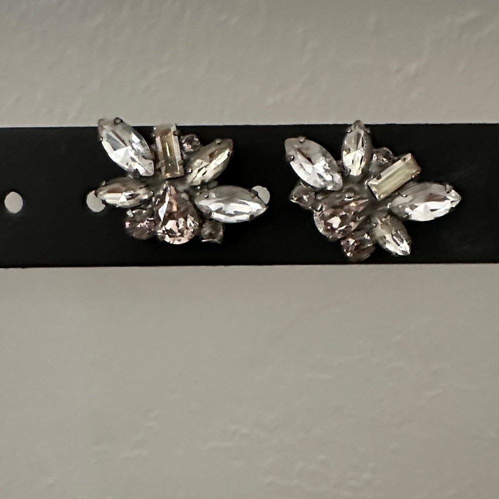 Elegant Silver Crystal Earrings